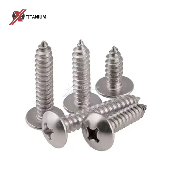DIN7981 Titanium Phillip Pan Head Tapping Screw